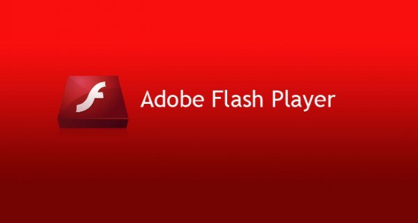 Adobe Flash Training