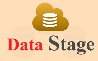 Data Stage course