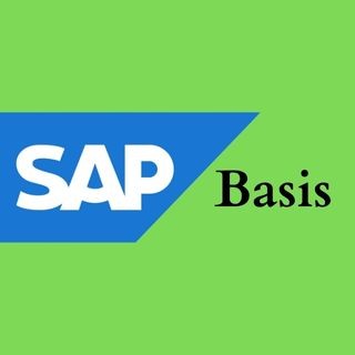 SAP Basis Training
