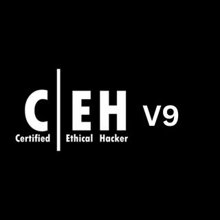 certified ethical hacker version 9 CEH V9 Training