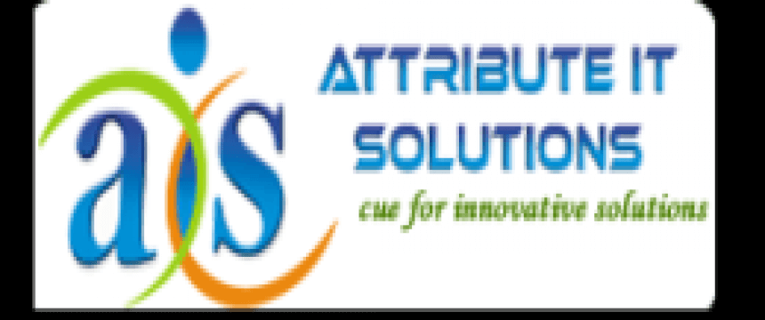 Attribute IT Solutions